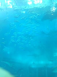 水族館1