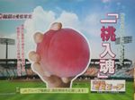 甲子園8日目２