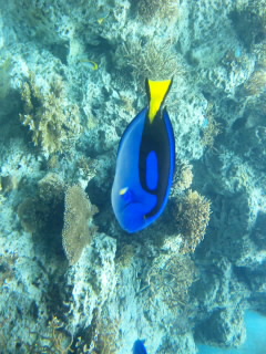 SH3E01330001.jpg