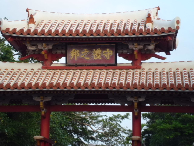 CIMG0237 CIMG0237